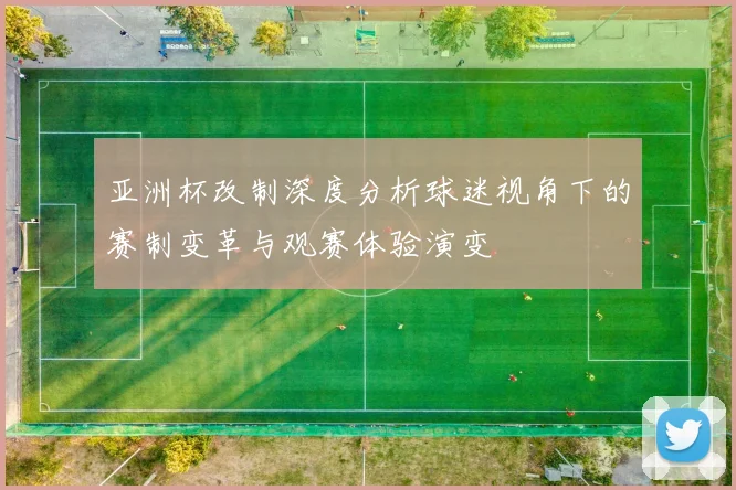 亚洲杯改制深度分析球迷视角下的赛制变革与观赛体验演变